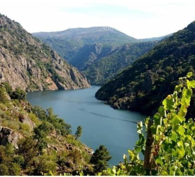 蒙福特·德·莱蒙斯Piso Ribeira Sacra公寓 外观 照片